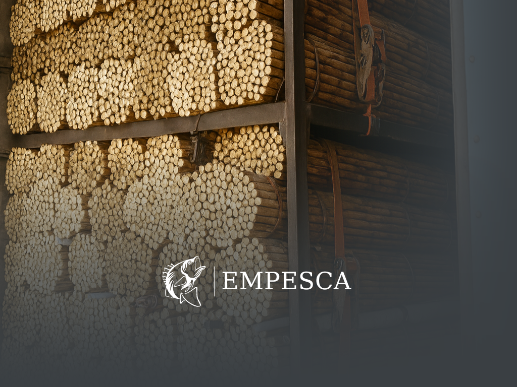 5 produtos que não podem faltar em grandes pedidos de pesca