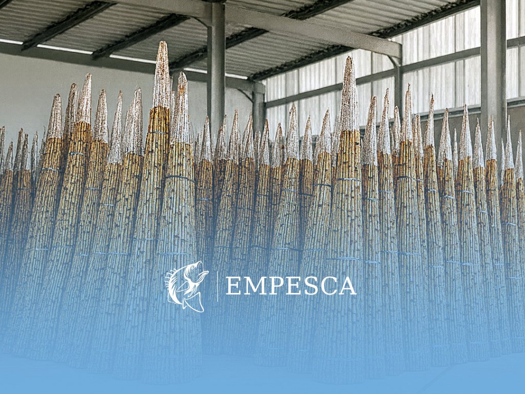 Estoque pronto = venda garantida: como se preparar para a demanda após a piracema